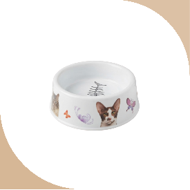 PLATO DE MASCOTA (AJ311723)