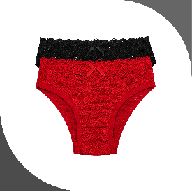 BIKINI ENCAJE PIERNA SESGO PLANO 706